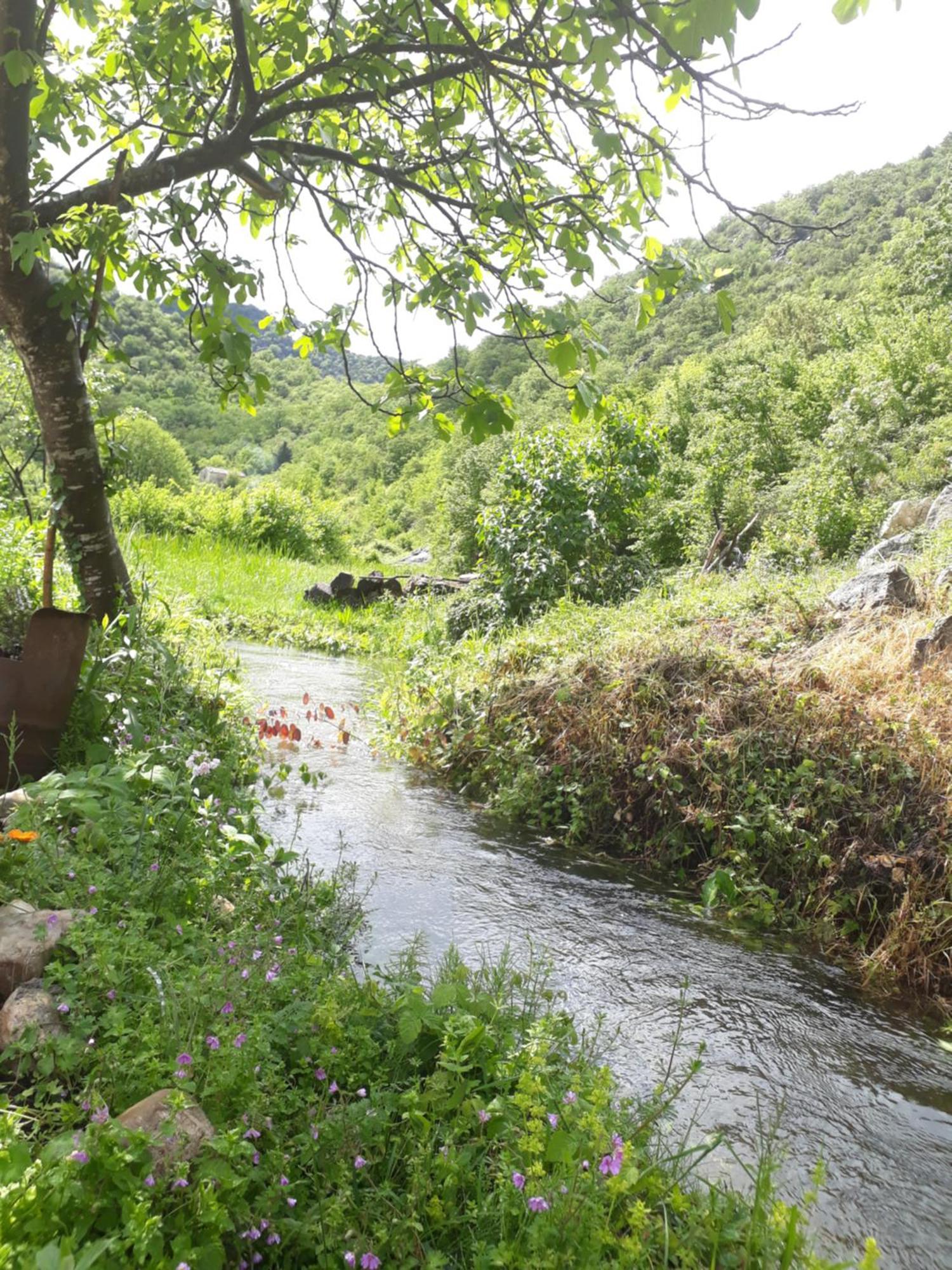 Hotel Camp Sunny Hills Virpazar Exterior foto