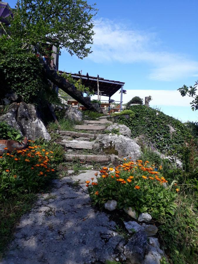 Hotel Camp Sunny Hills Virpazar Exterior foto