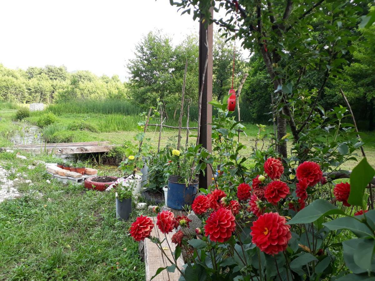 Hotel Camp Sunny Hills Virpazar Exterior foto